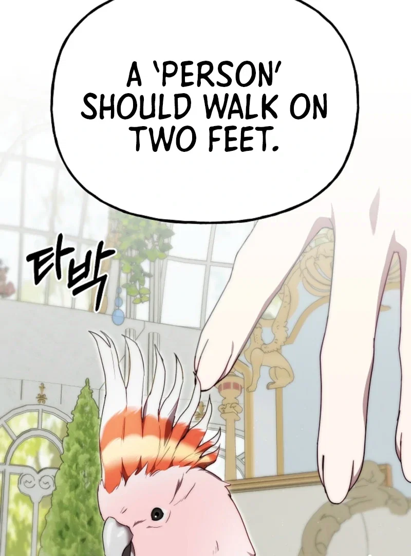 Chapter 12 - Image 71