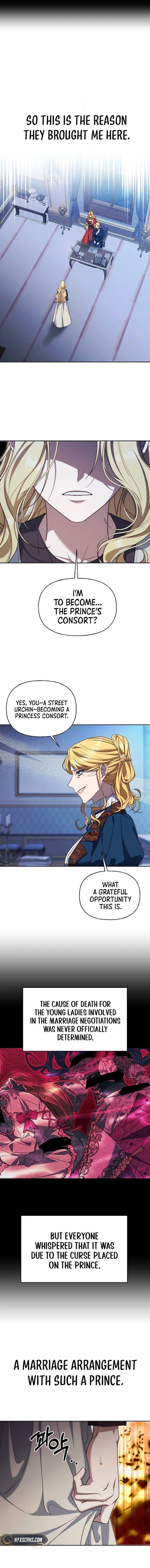 Chapter 2 - Image 4