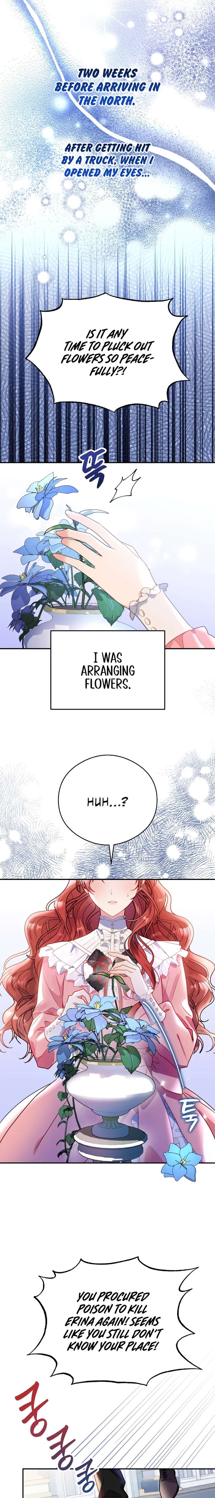 Chapter 1 - Image 15