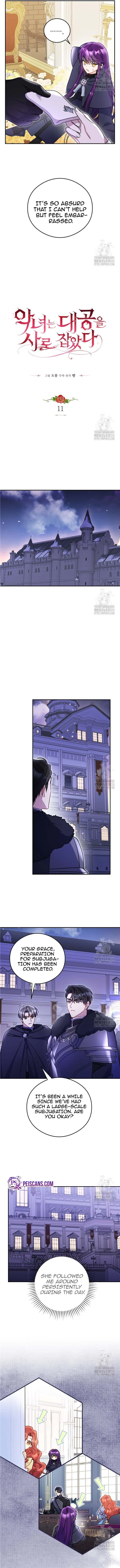 Chapter 11 - Image 5