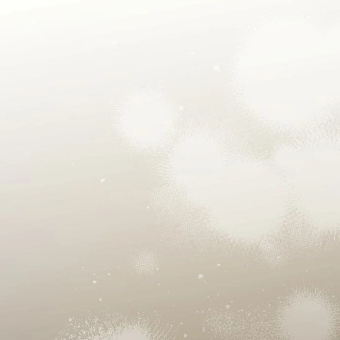Chapter 11 - Image 9
