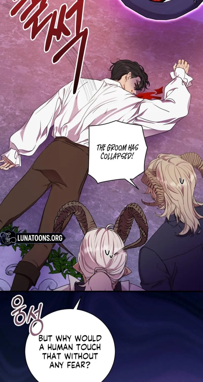 Chapter 1 - Image 104