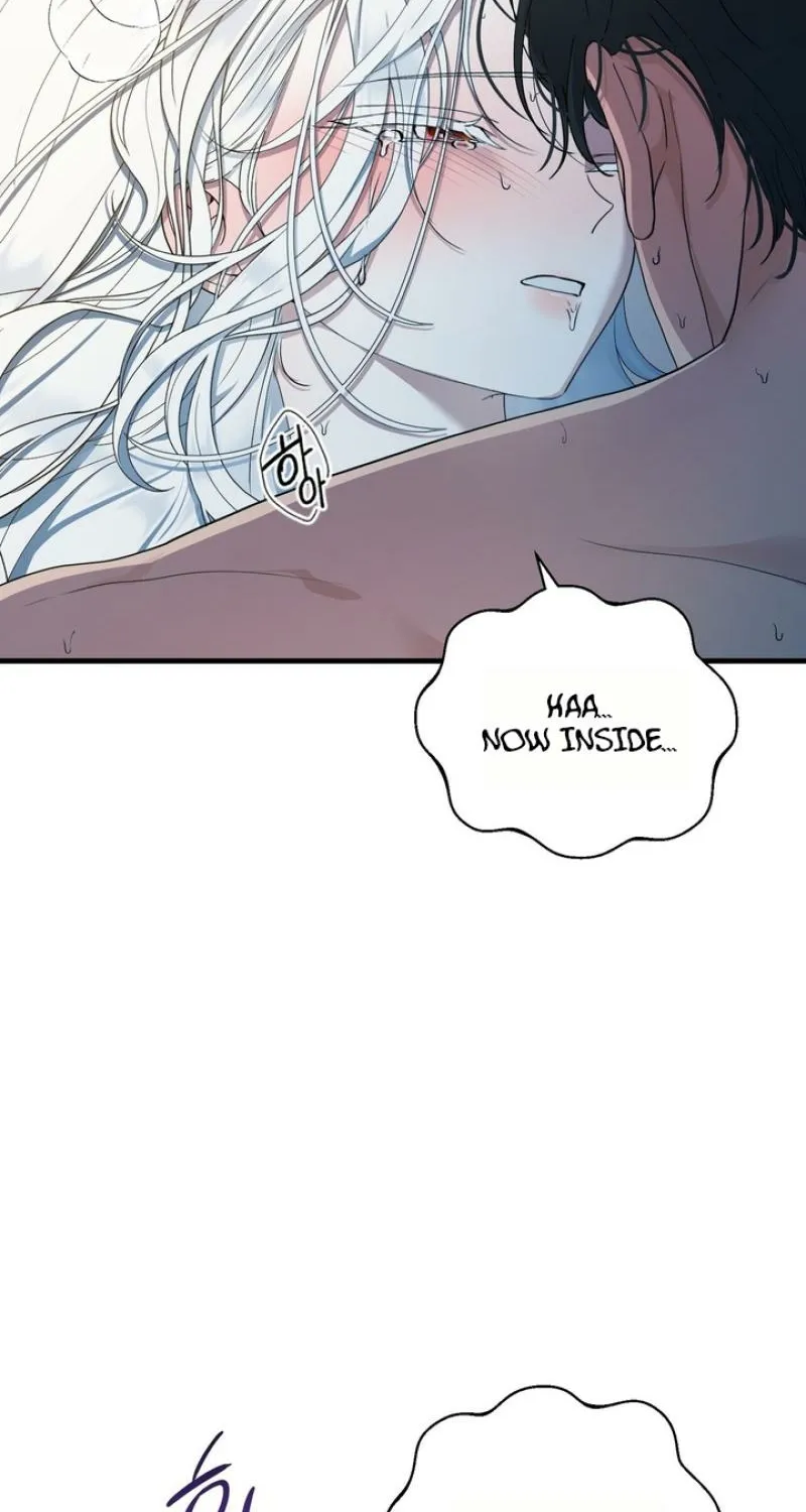 Chapter 8 - Image 16