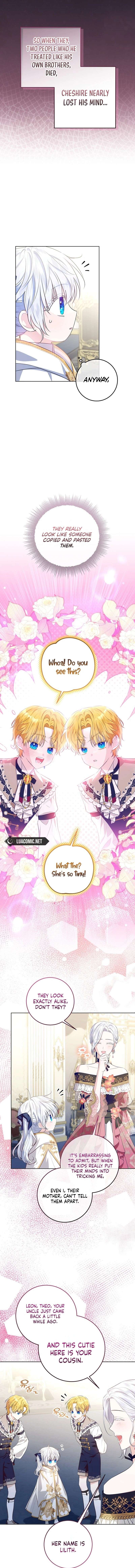 Chapter 8 - Image 3