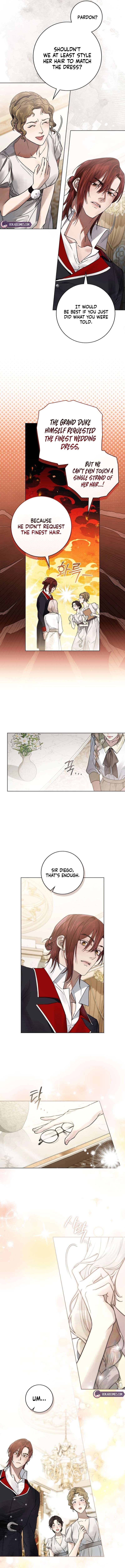 Chapter 21 - Image 10