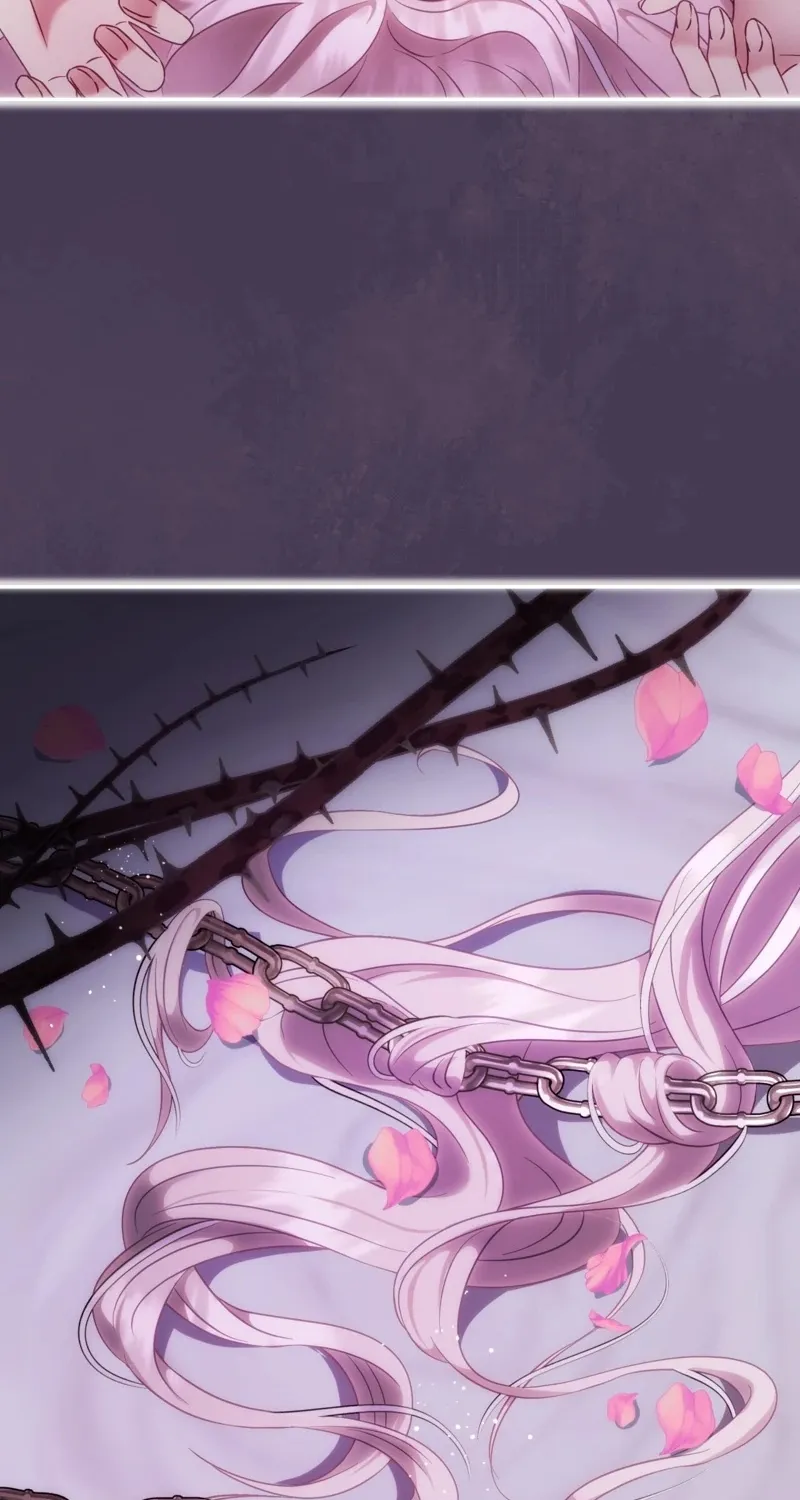 Chapter 1 - Image 12