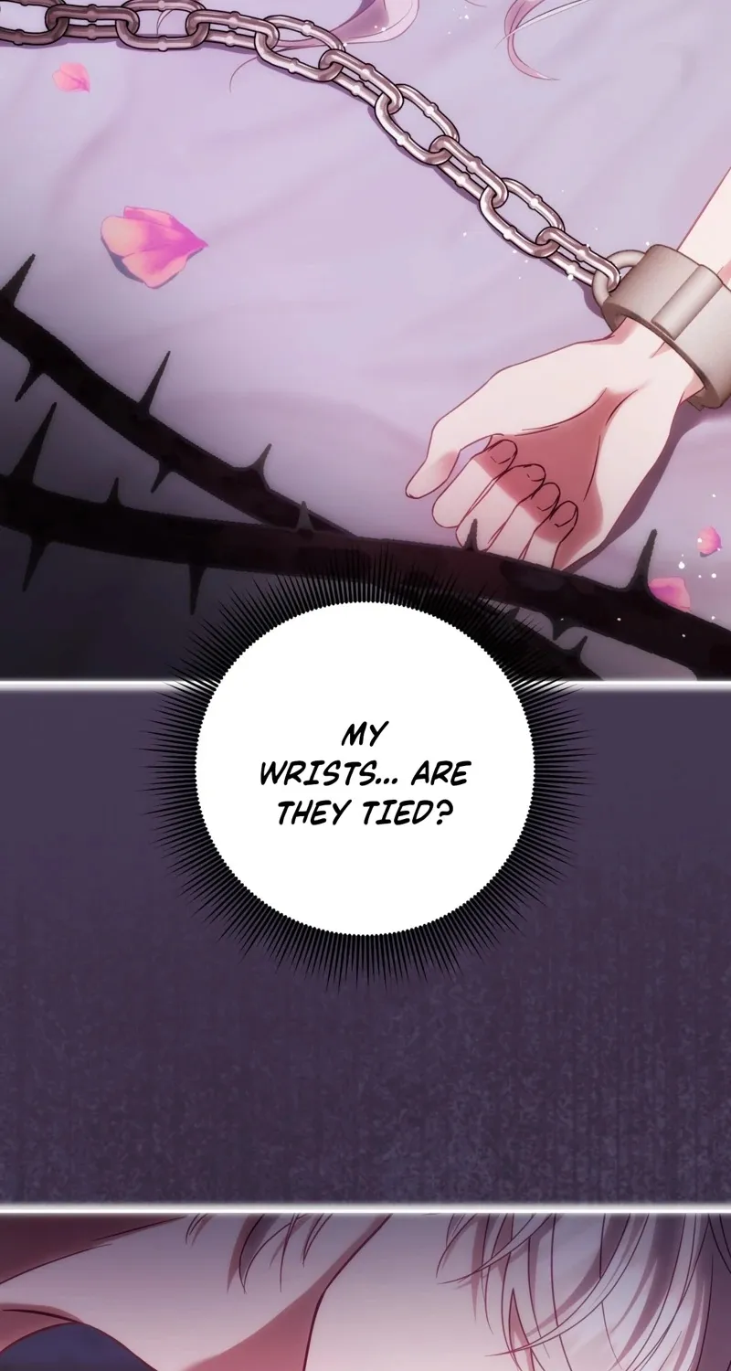 Chapter 1 - Image 13