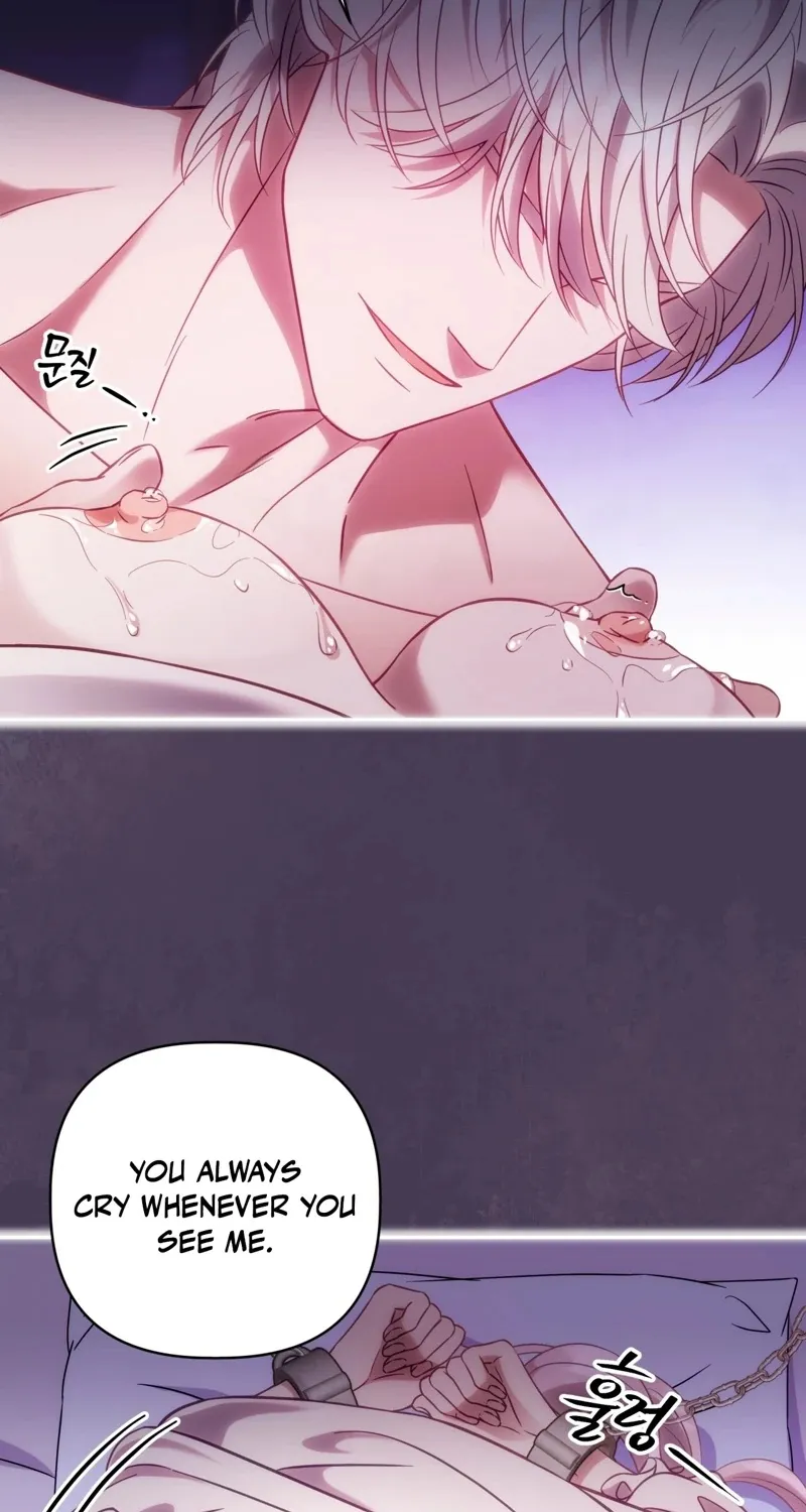 Chapter 1 - Image 15