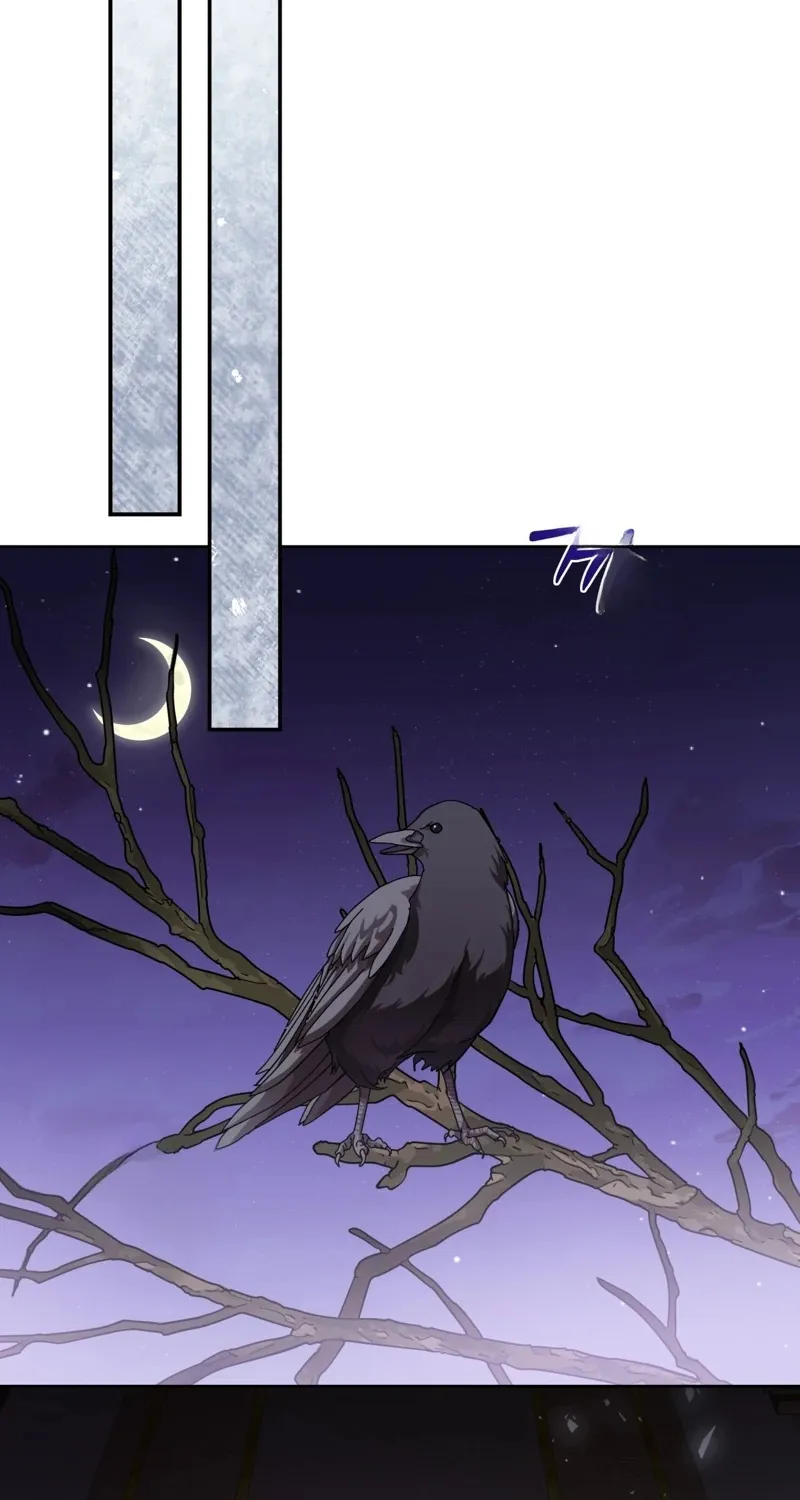 Chapter 1 - Image 93