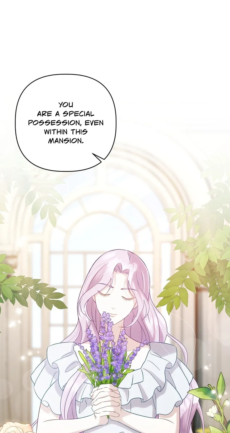 Chapter 2 - Image 36