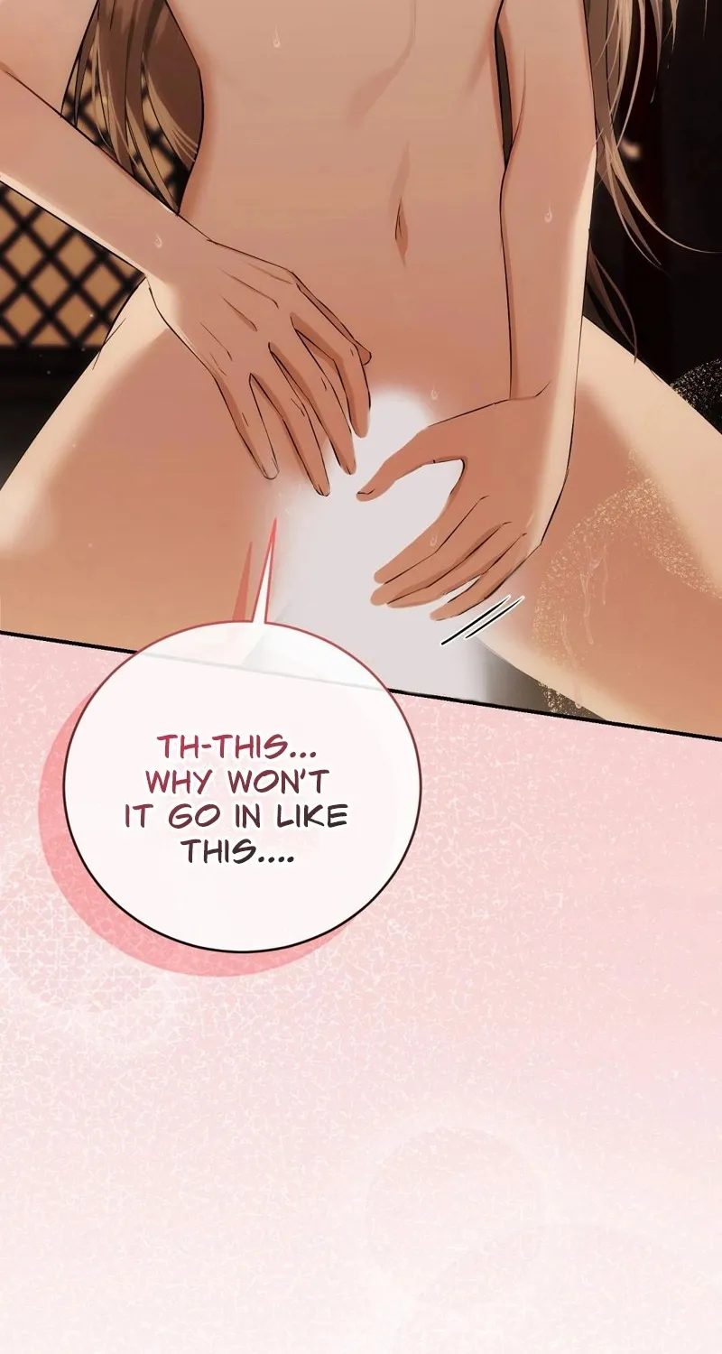 Chapter 8 - Image 6