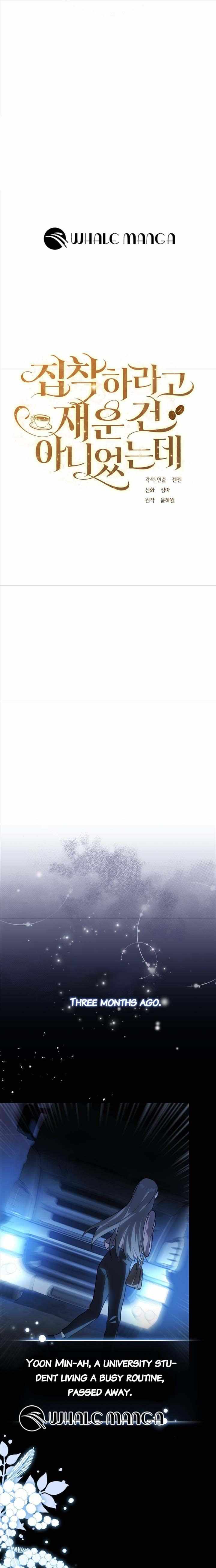 Chapter 1 - Image 17