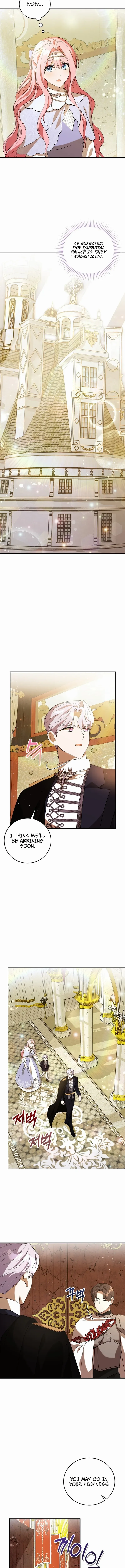 Chapter 12 - Image 4