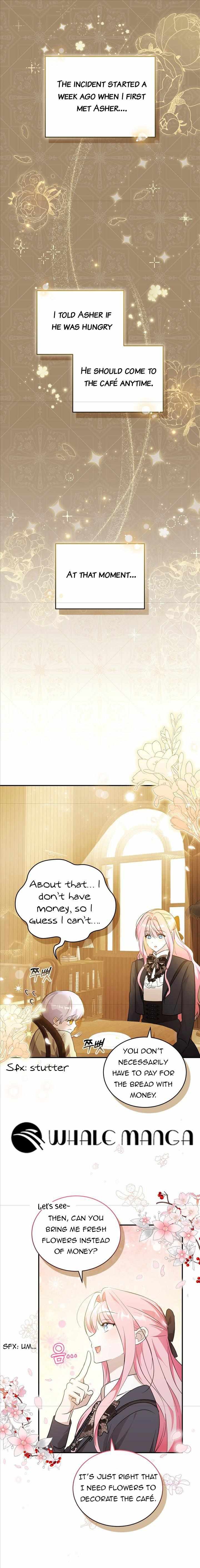 Chapter 2 - Image 4