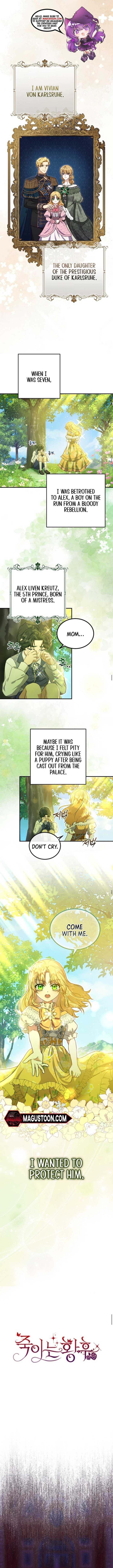 Chapter 1 - Image 2