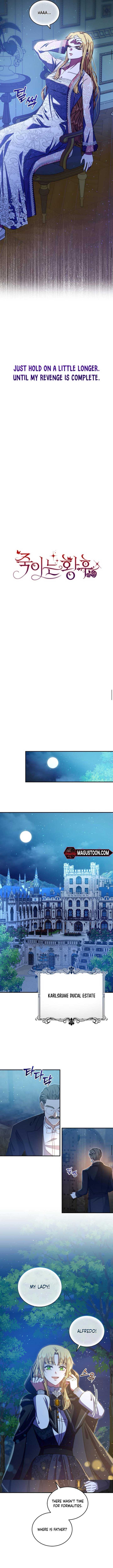 Chapter 3 - Image 6
