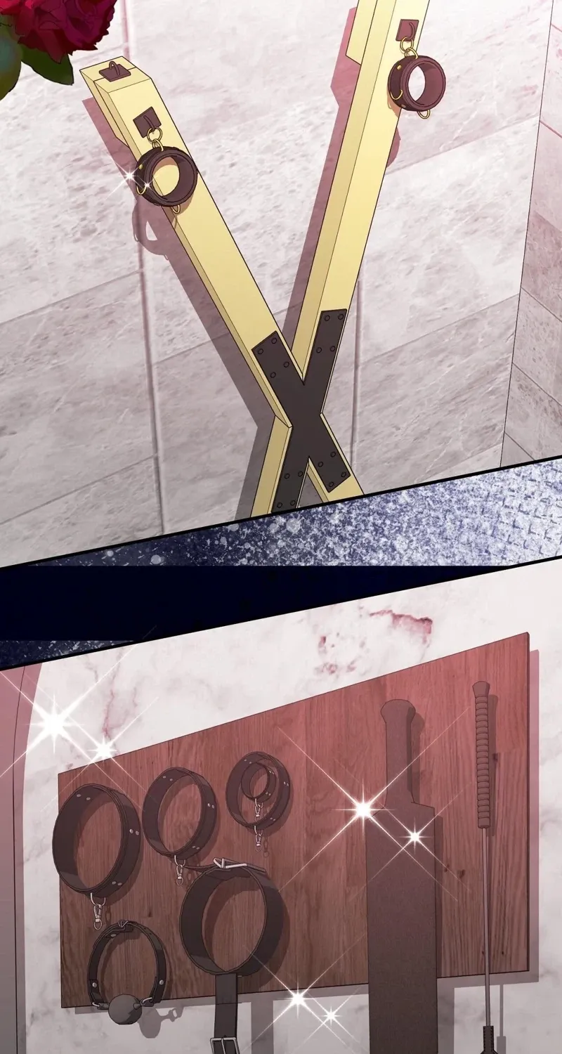 Chapter 11 - Image 7