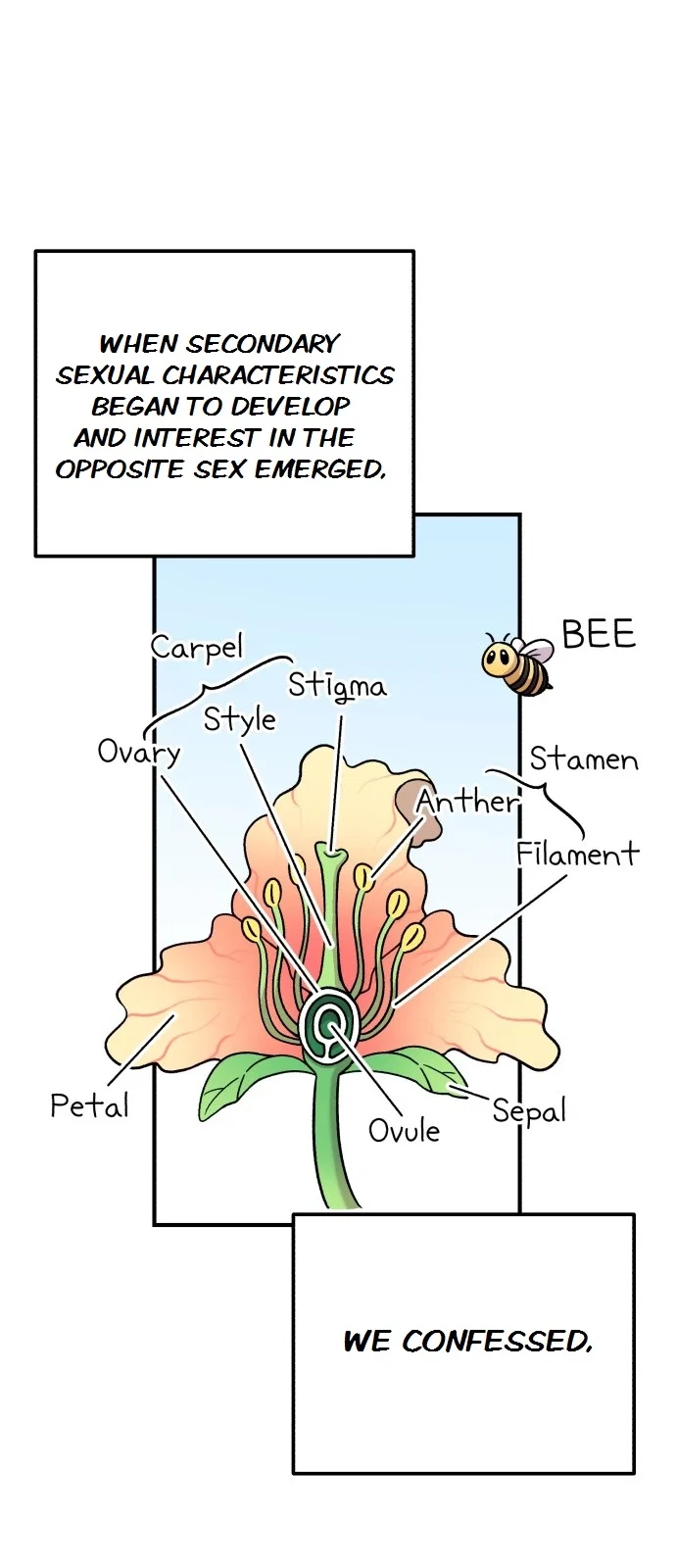 Chapter 1 - Image 7