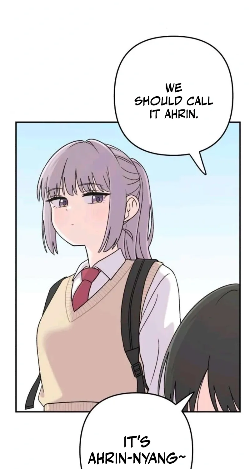 Chapter 15 - Image 11