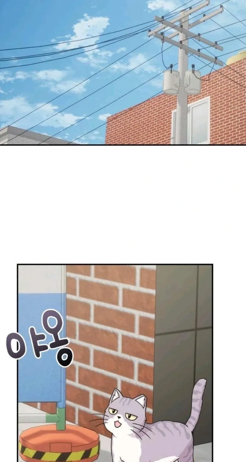 Chapter 15 - Image 2