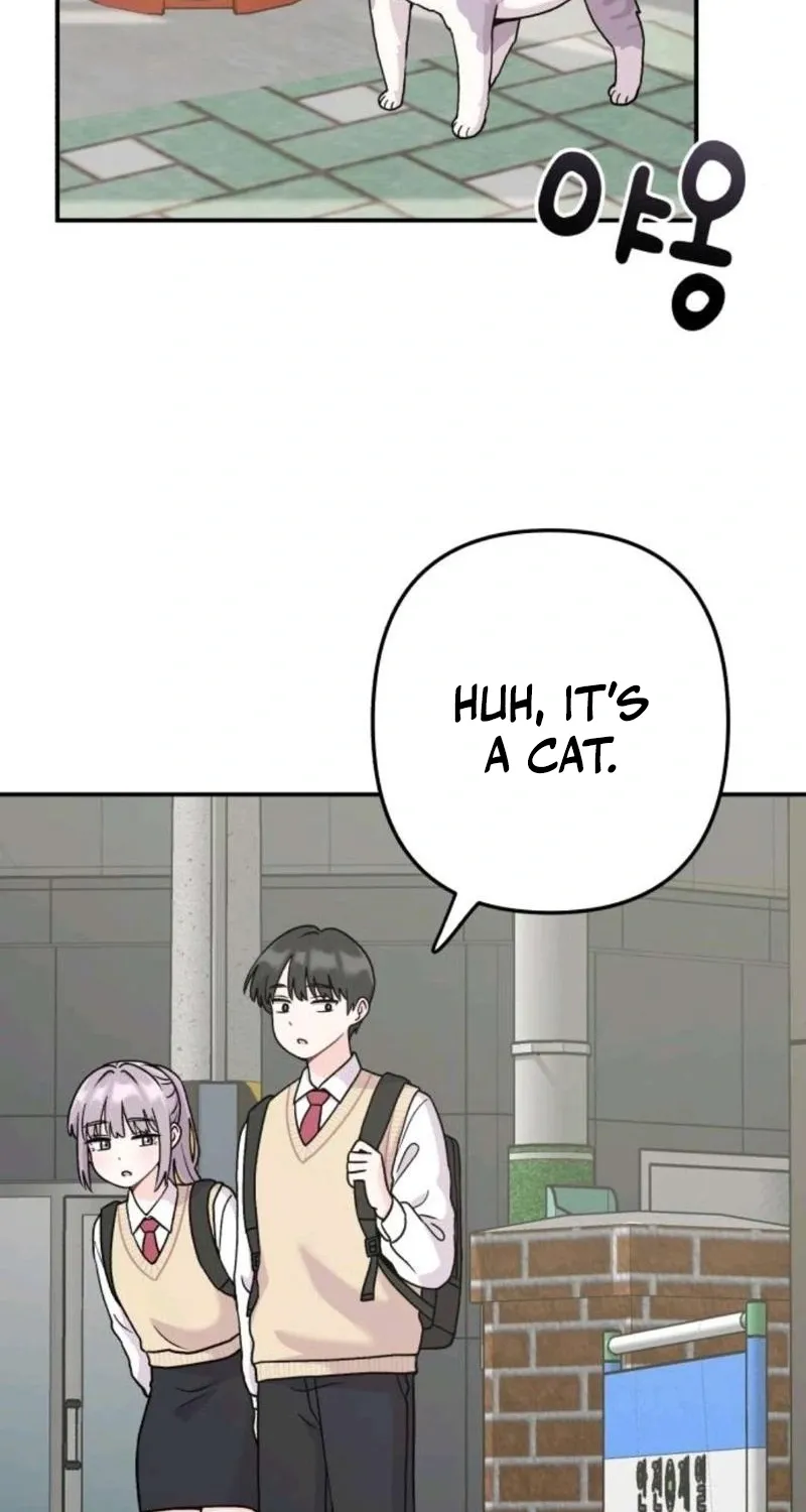 Chapter 15 - Image 3
