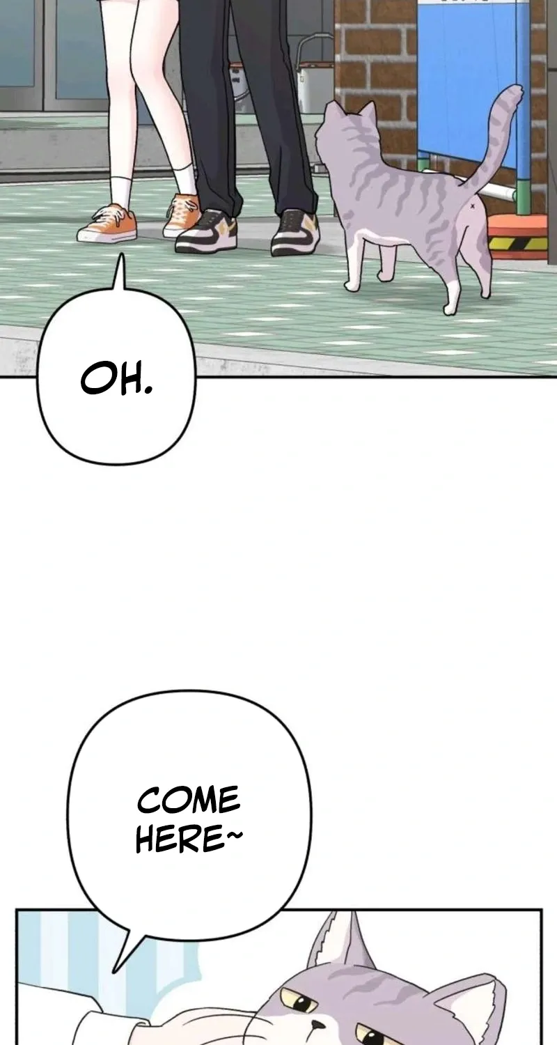 Chapter 15 - Image 4