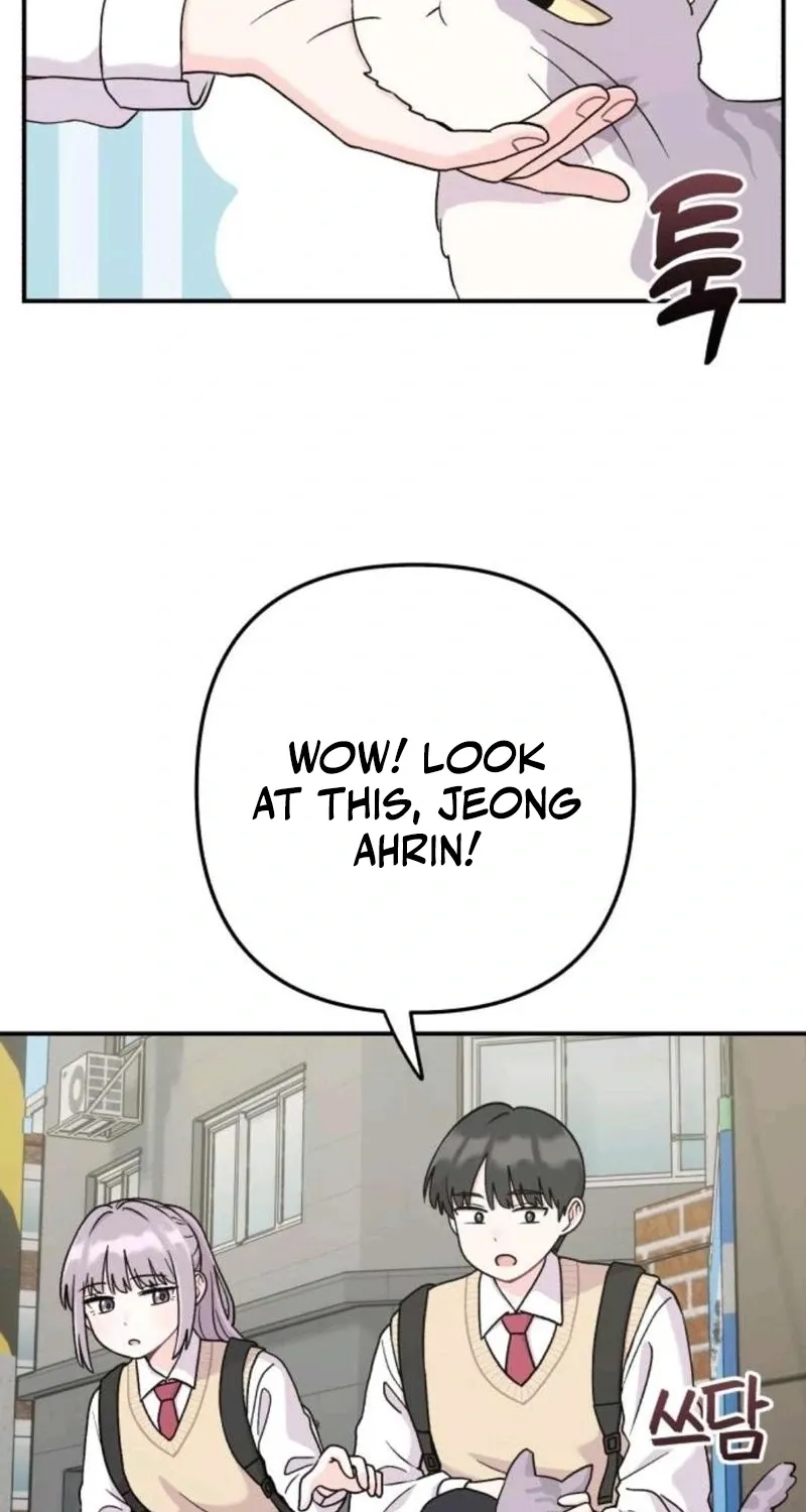 Chapter 15 - Image 5