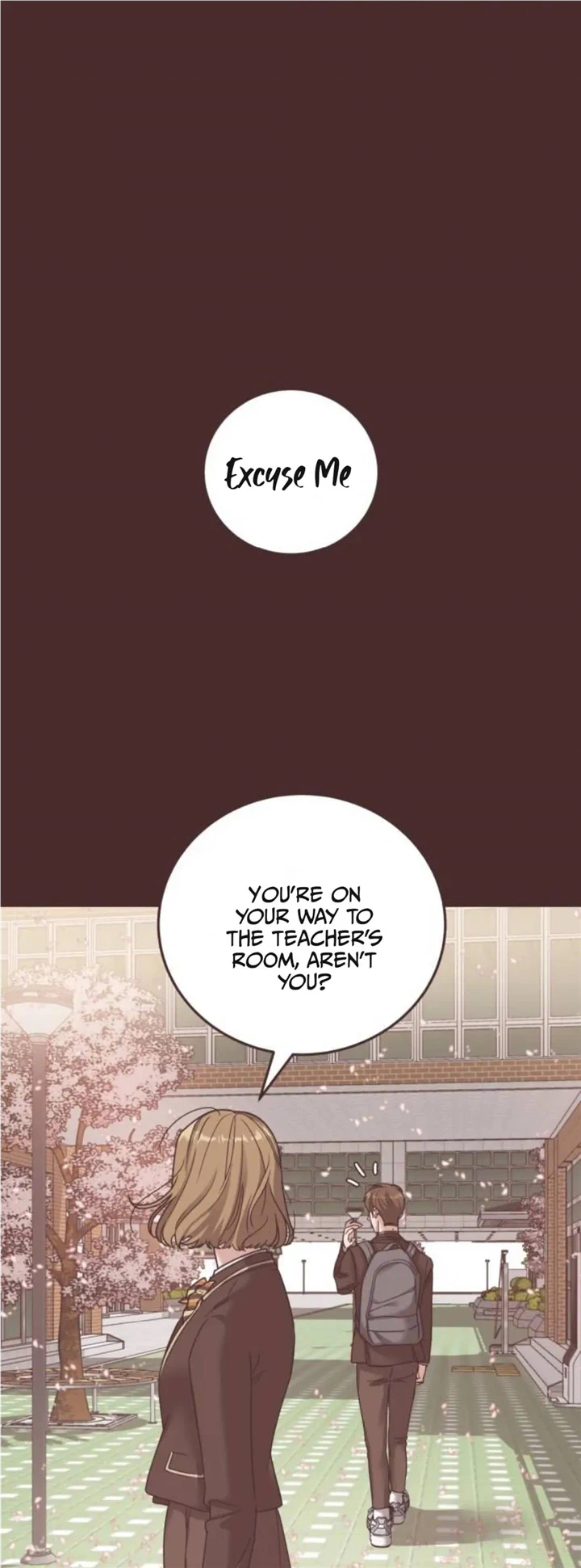 Chapter 2 - Image 7