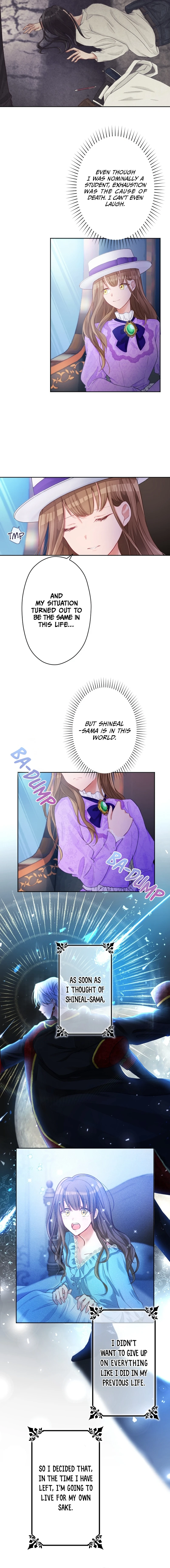 Chapter 3 - Image 8