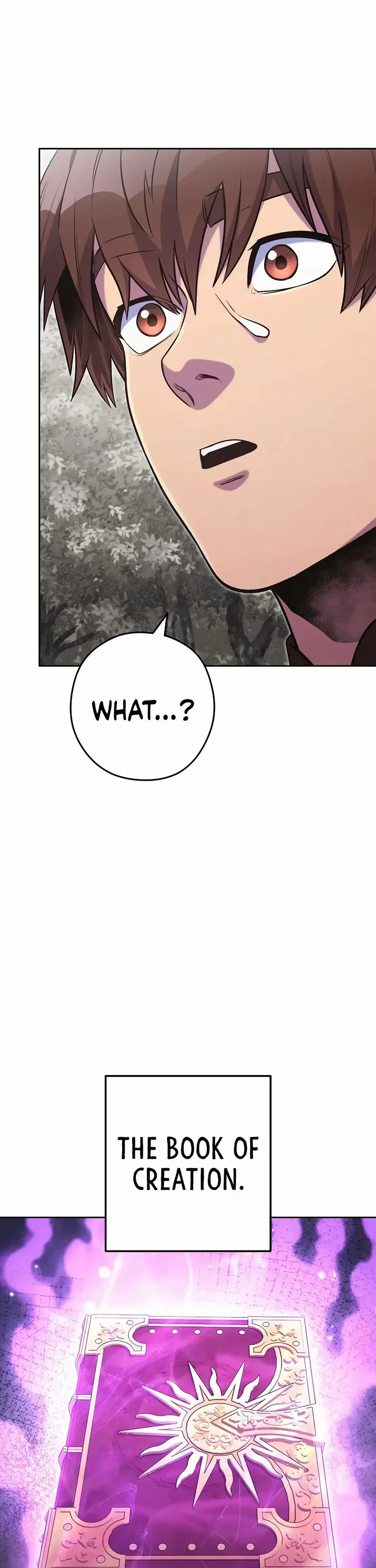 Chapter 245 - Image 22