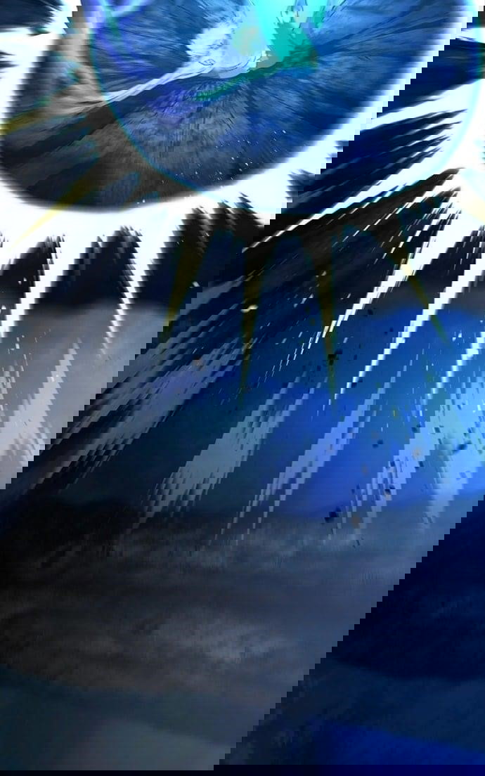 Chapter 71 - Image 67