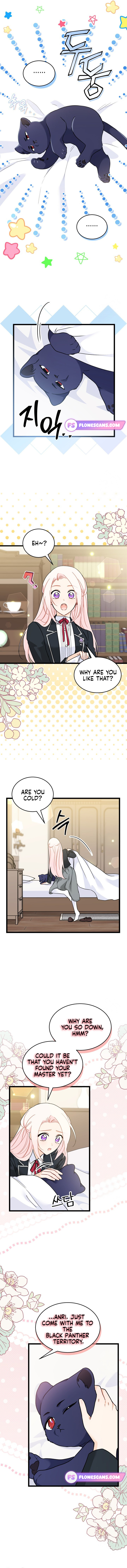 Chapter 165 - Image 5