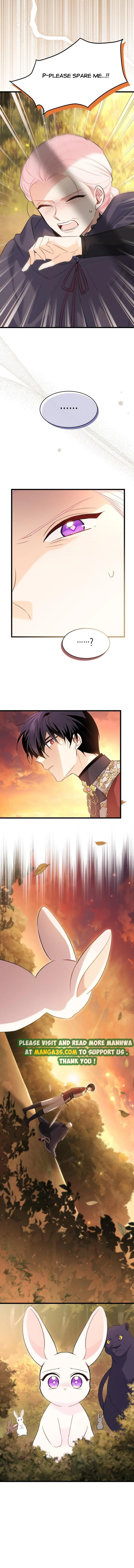 Chapter 81.5 - Image 5