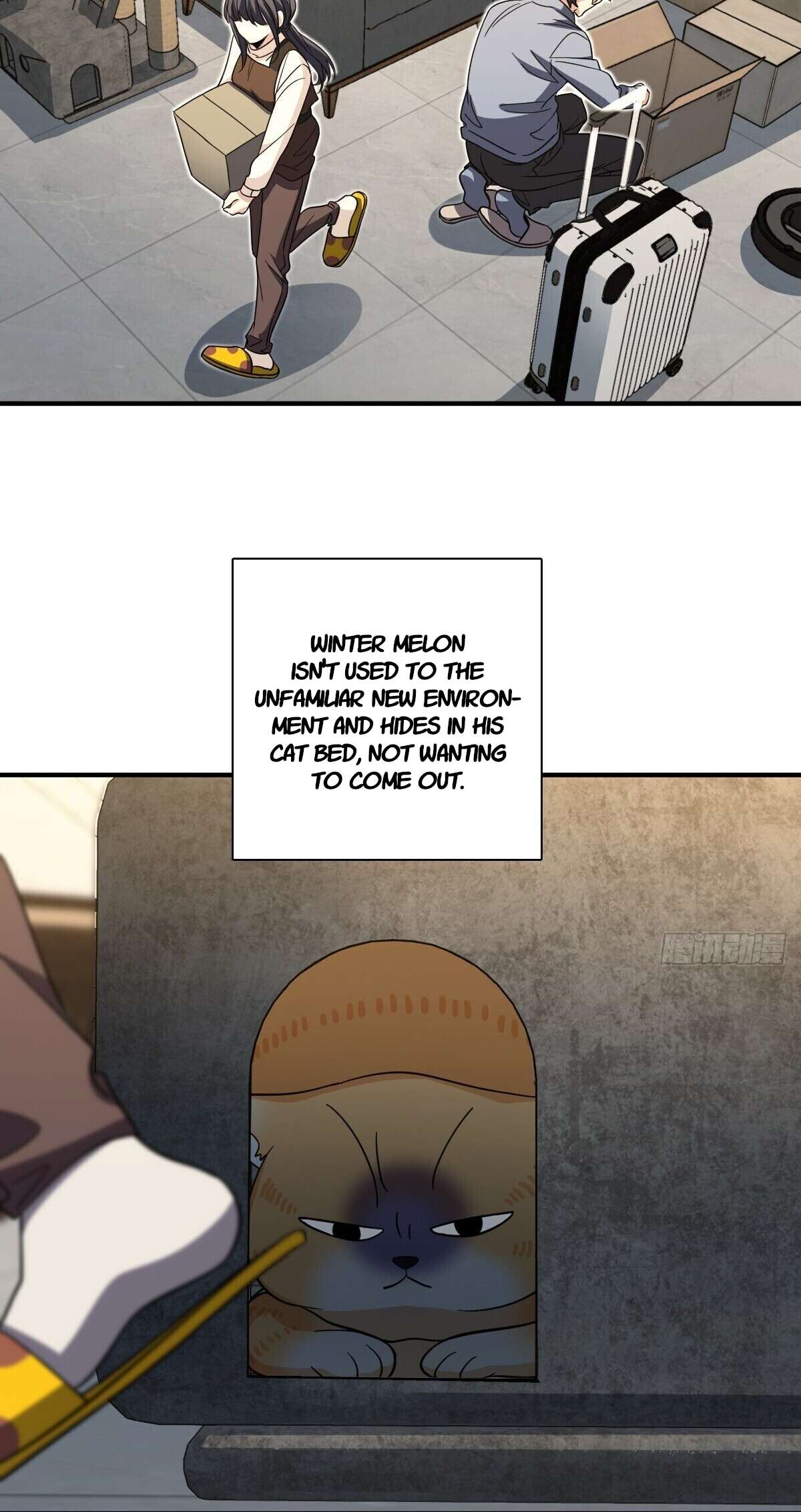 Chapter 305 - Image 22