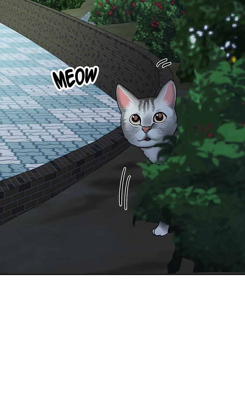 Chapter 24 - Image 5
