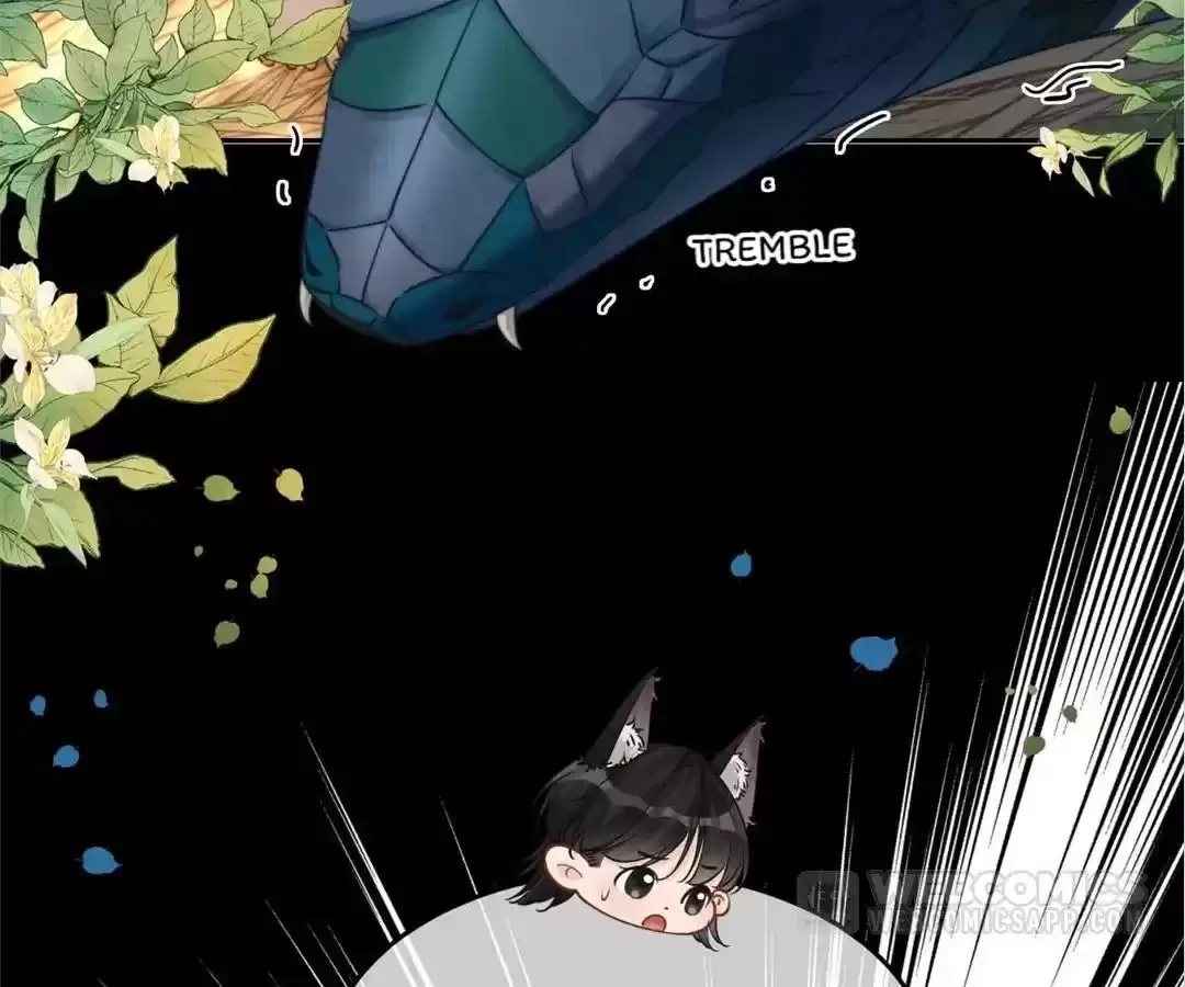 Chapter 167 - Image 11