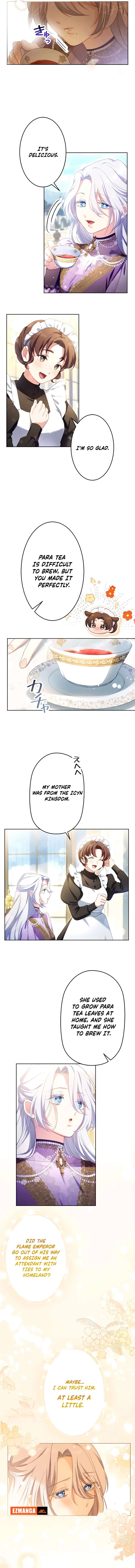 Chapter 5 - Image 11