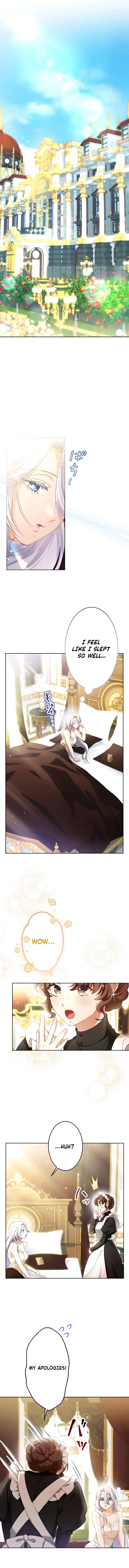 Chapter 5 - Image 6