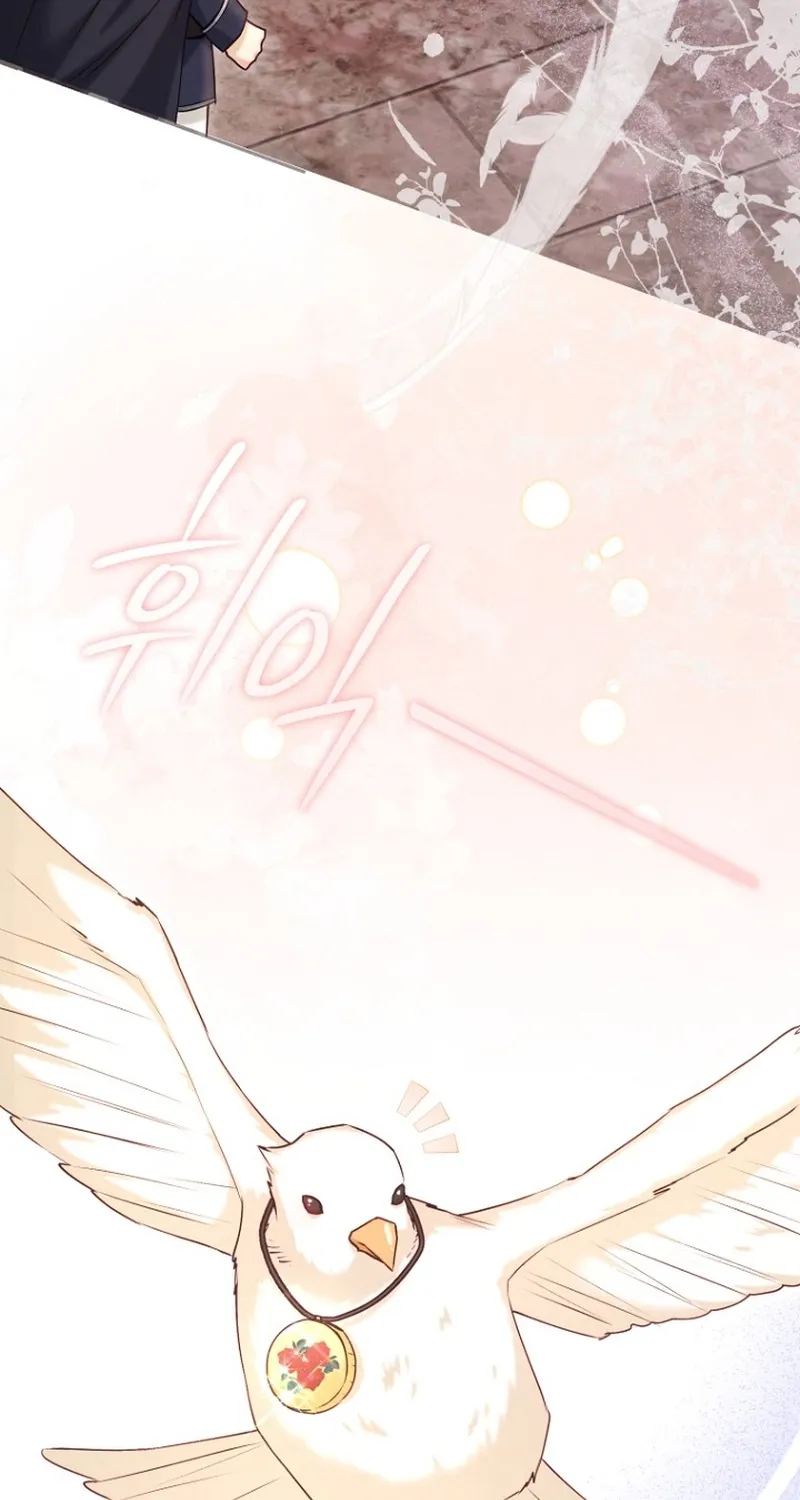 Chapter 12 - Image 7