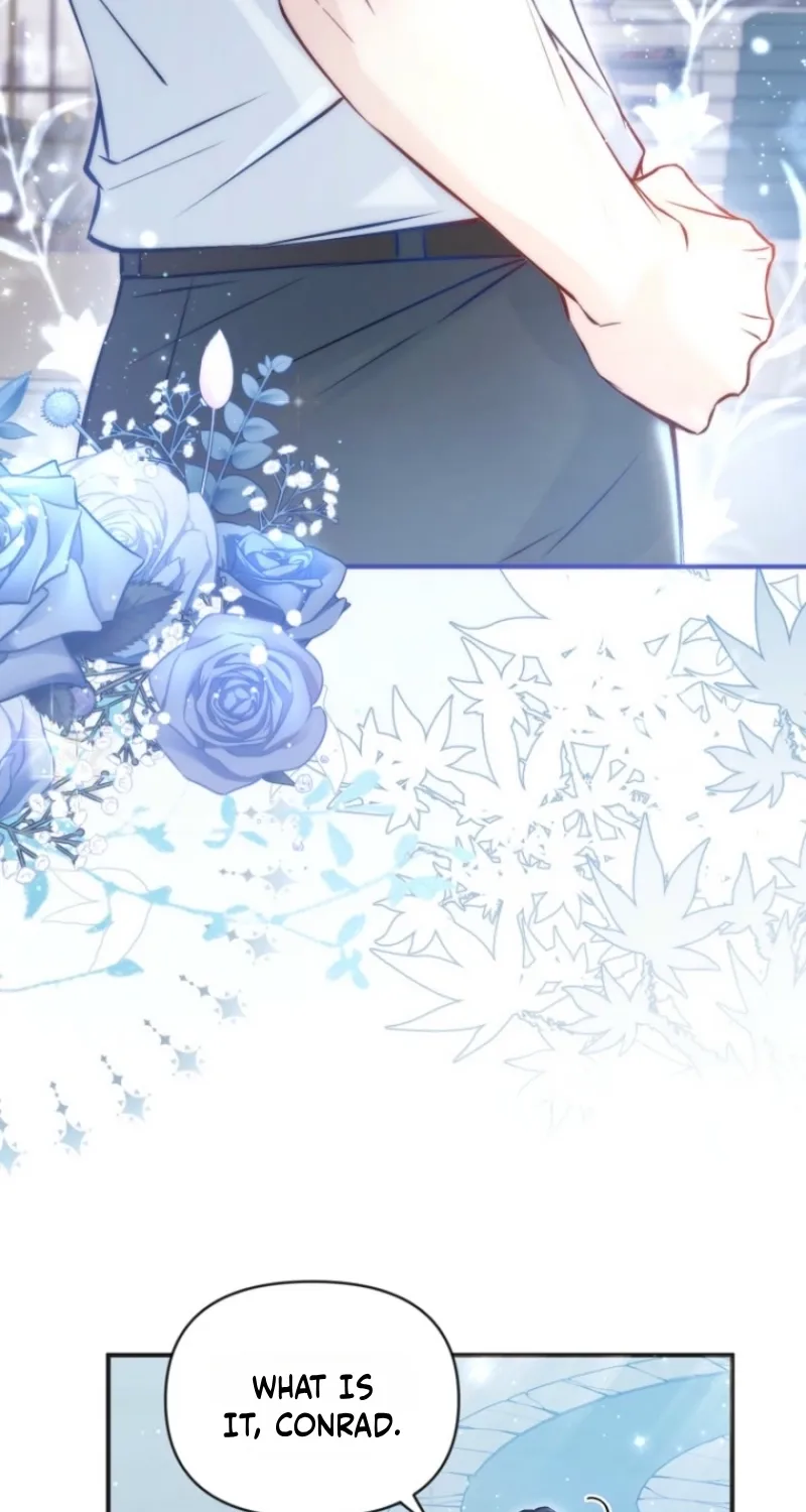 Chapter 2 - Image 7