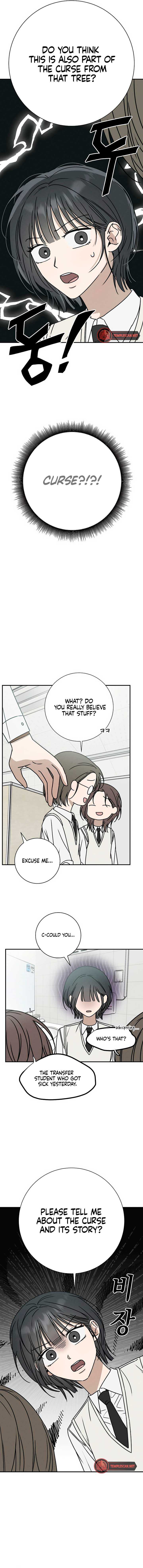 Chapter 2 - Image 5