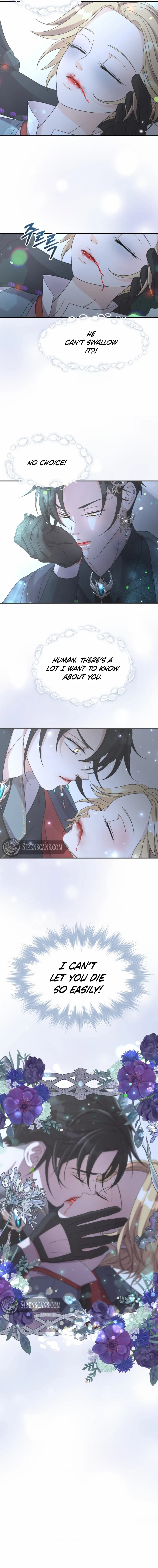 Chapter 2 - Image 10