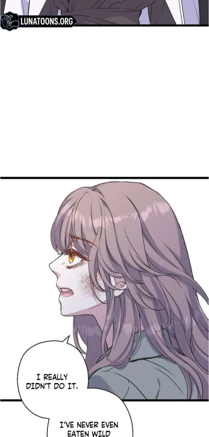 Chapter 37 - Image 33