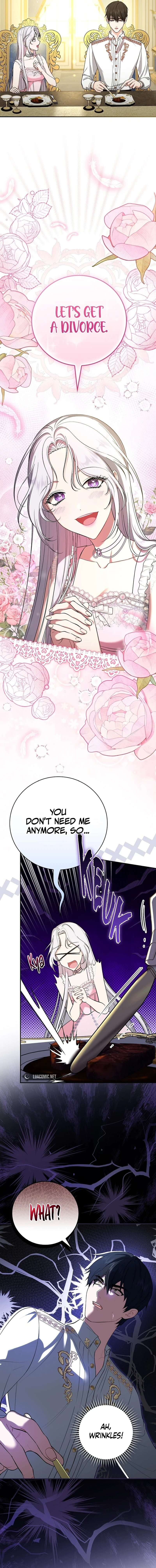 Chapter 1 - Image 5