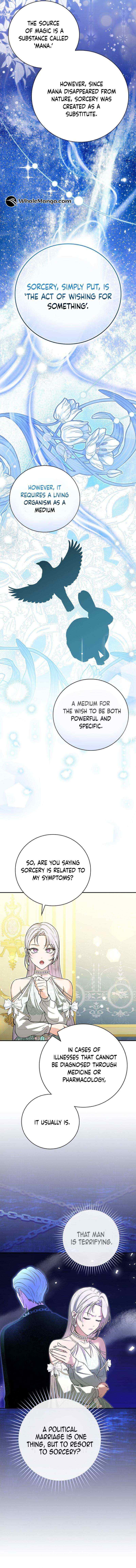 Chapter 14 - Image 4