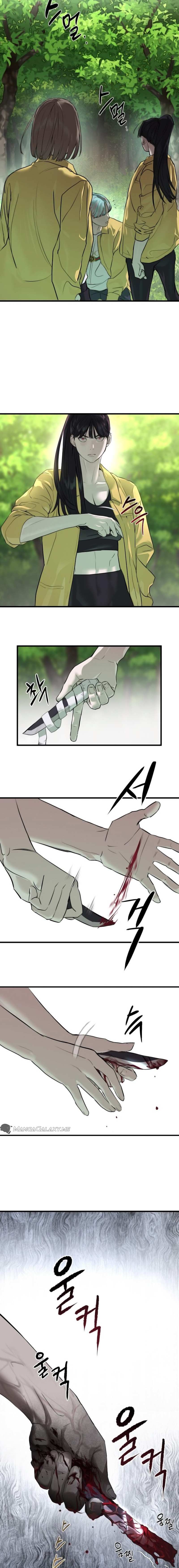 Chapter 1 - Image 6