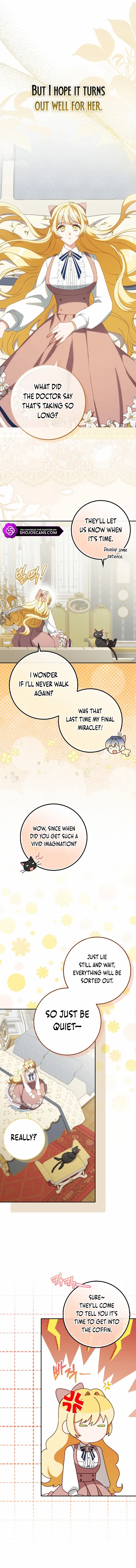 Chapter 15 - Image 11