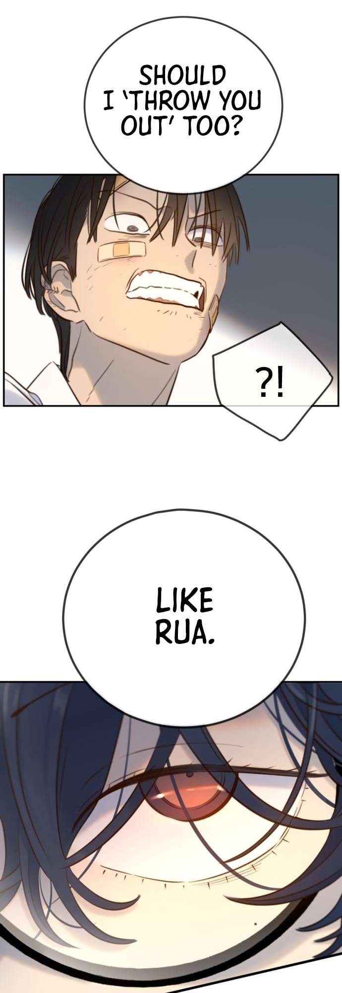 Chapter 12 - Image 8