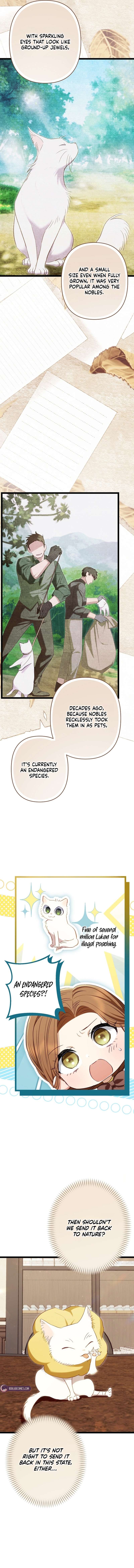 Chapter 26 - Image 3