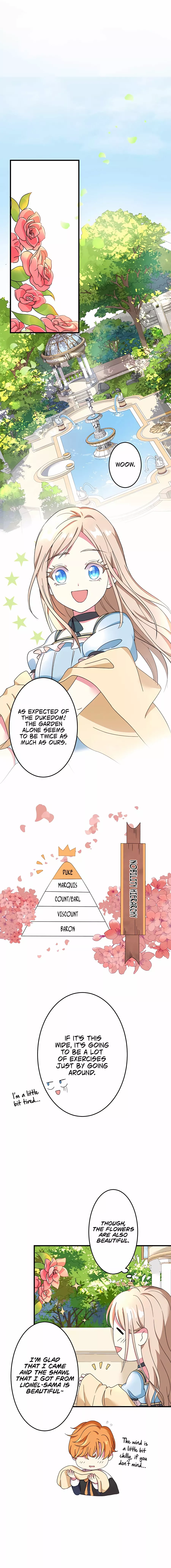 Chapter 2 - Image 4